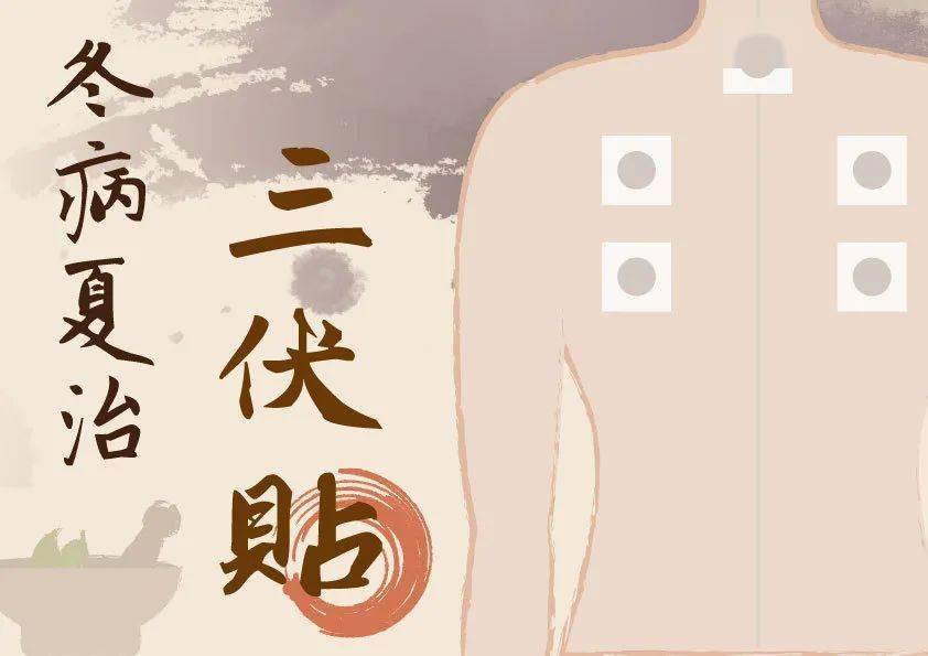 冬病夏治三伏貼生產廠家